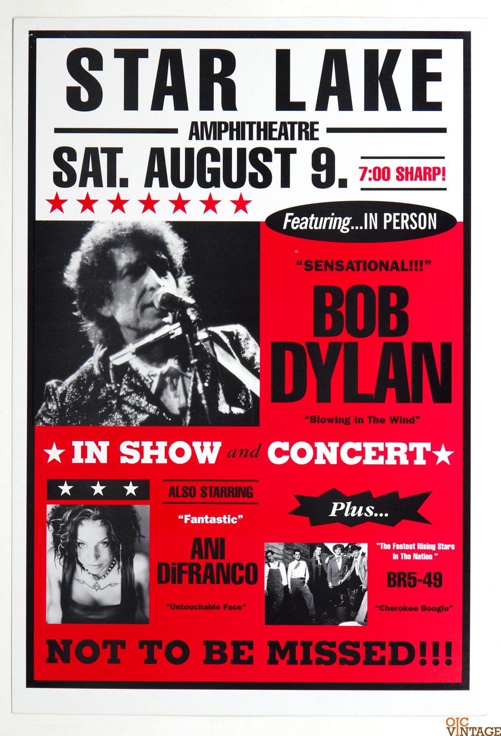 Bob Dylan Poster 1997 Summer Tour Aug 9 Burgettsdtown PA w/ Ani DiFranco BR5-49