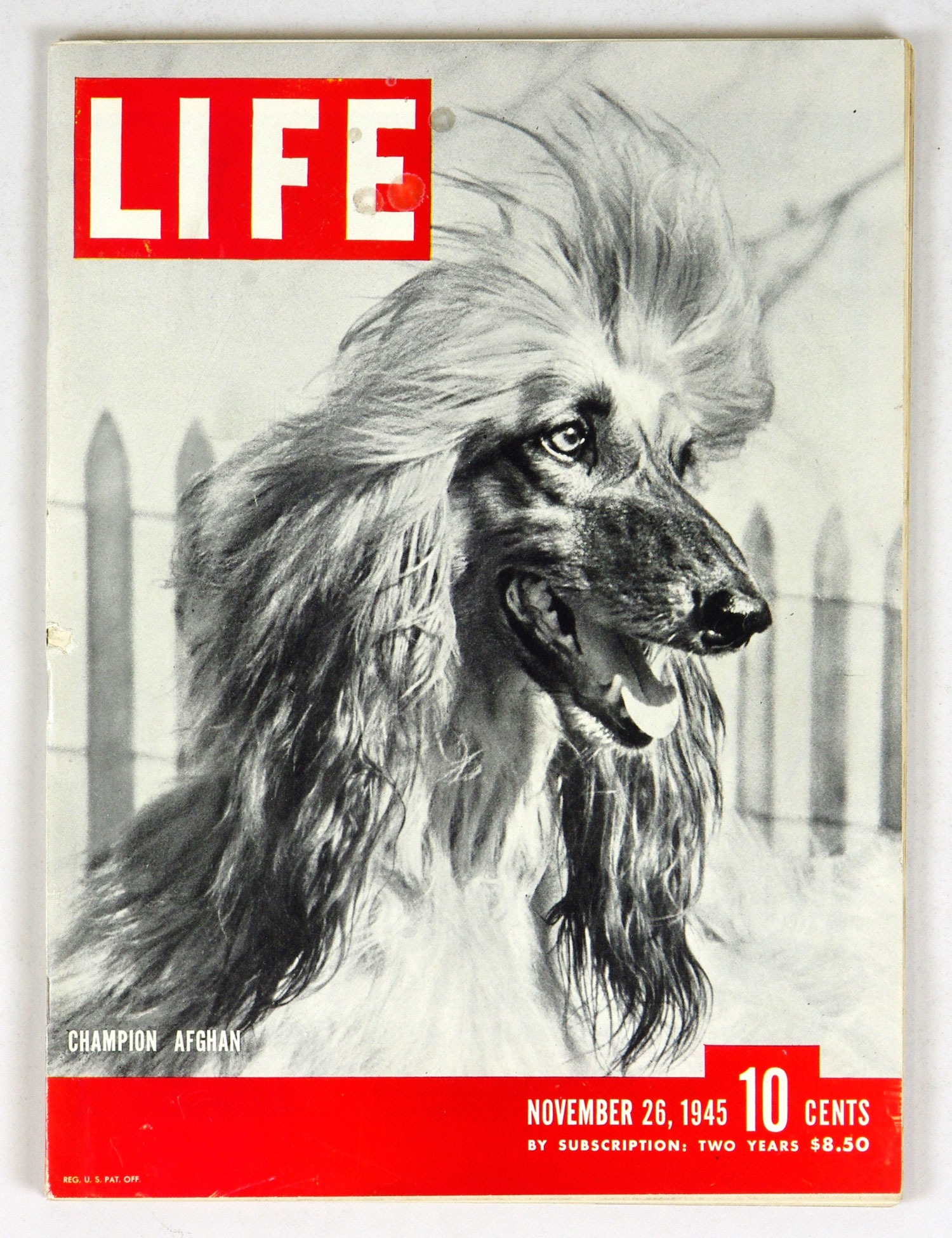 LIFE Magazine Back Issue 1945 Nov 26 Champion Afghan Hound
