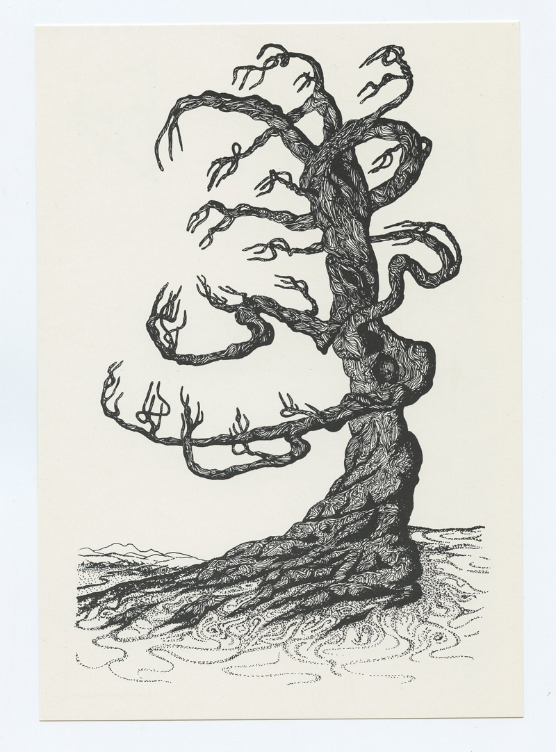 Jacaeber Kastor Postcard DEAD TREE Psychedelic Solution