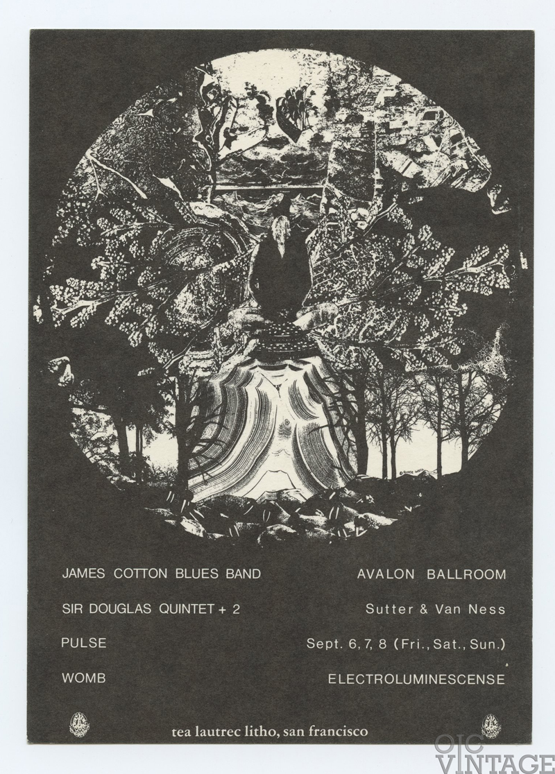 FD 136 Postcard James Cotton Blues band 1968 Sep 6