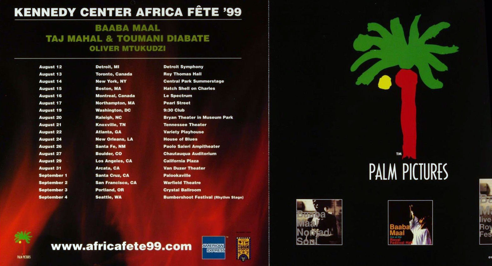 Africa Fete 99 Poster Flat 1999 New CD Album Promotion 12 x 12