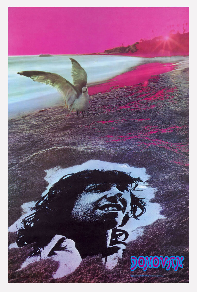Donovan Poster 1969 The Visual Thing B290 24 x 36