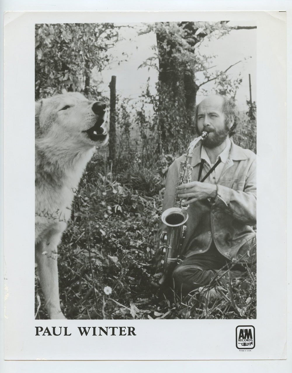 Paul Winter Photo 1970s A&M Records