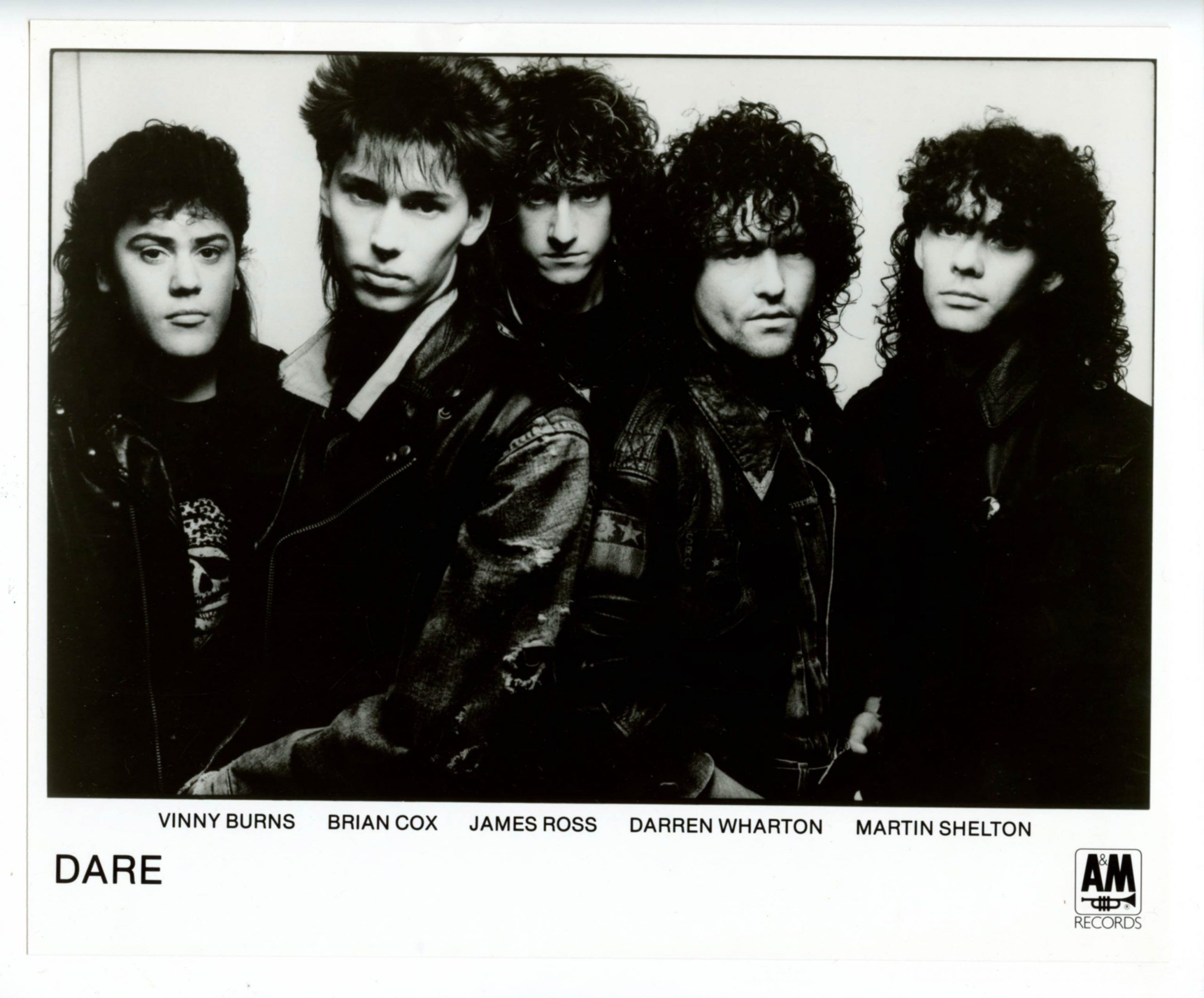 Dare Photo 1980s A&M Records